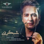آهنگ جدید امیر تاجیک به نام شبگردی