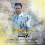 آهنگ جدید شهروز اجمالی به نام داریخدم