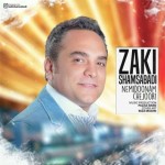 آهنگ جدید زکی شمس آبادی به نام نمیدونم چجوری