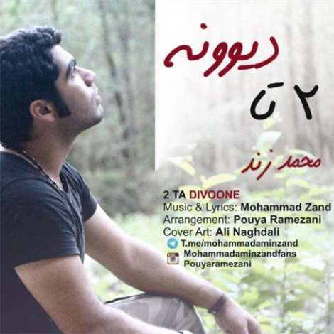 آهنگ جدید محمد زند به نام 2 تا دیوونه
