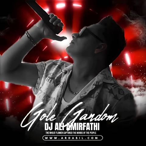 دانلود آهنگ علی امیرفتحی به نام گل گندم