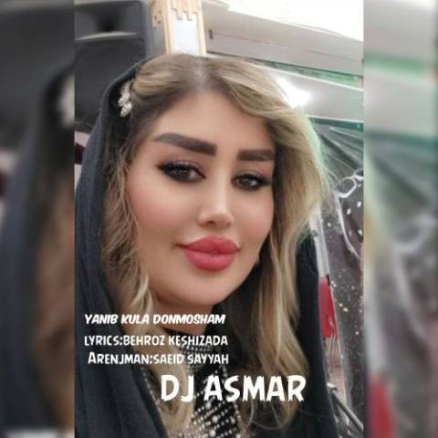 دانلود آهنگ ترکی دیجی اسمر به نام یانیب کوله دونرم من
