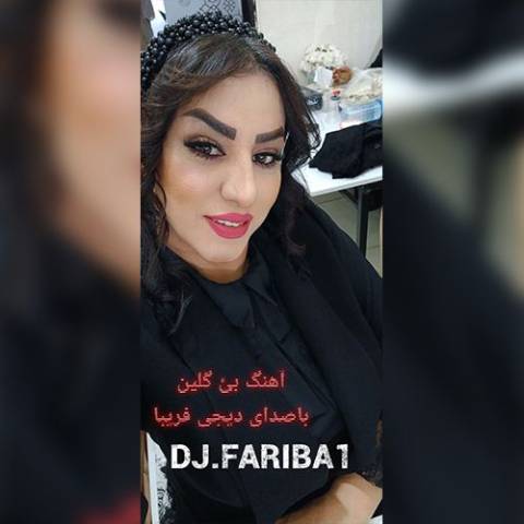 دانلود آهنگ ترکی دی جی فریبا به نام بئی گلین