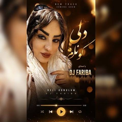 دانلود آهنگ ترکی دی جی فریبا به نام دلی کونلوم