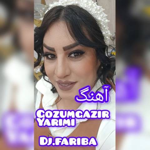 دانلود آهنگ ترکی دی جی فریبا به نام گوزوم گزیر یاریمی