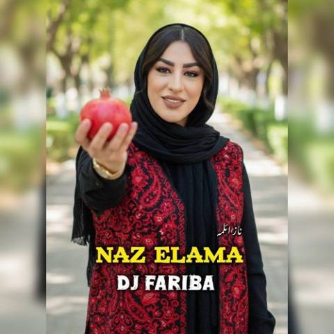دانلود آهنگ دی جی فریبا به نام ناز ائلمه