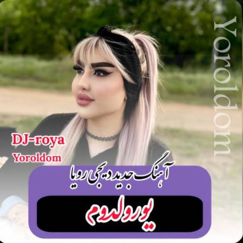 دانلود آهنگ ترکی دیجی رویا به نام یورولدوم