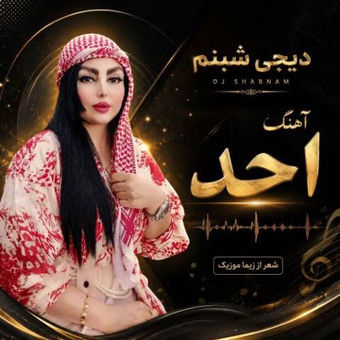 دانلود آهنگ ترکی دیجی شبنم به نام احد