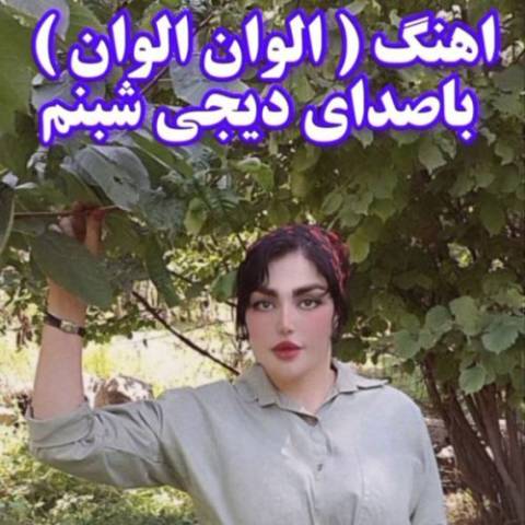 دانلود آهنگ ترکی دی جی شبنم به نام الوان الوان