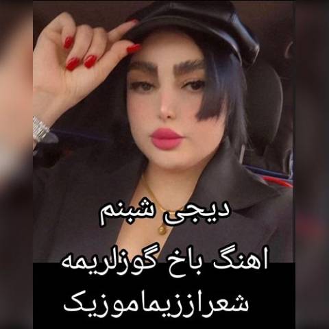 دانلود آهنگ ترکی دیجی شبنم به نام باخ گوزلریمه