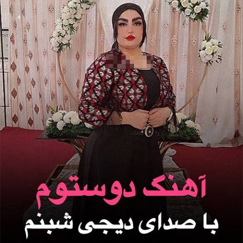 دانلود آهنگ ترکی دی جی شبنم به نام دوستوم