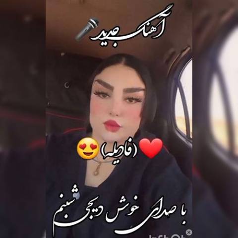 دانلود آهنگ ترکی دی جی شبنم به نام فادیله