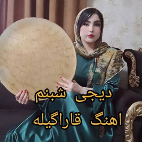دانلود آهنگ ترکی دی جی شبنم به نام قارا گیله