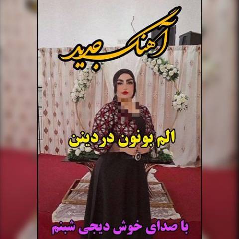 دانلود آهنگ ترکی دی جی شبنم به نام الم بونون دردینن