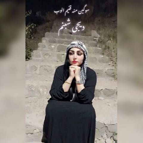 دانلود آهنگ ترکی دیجی شبنم به نام سوگین منه قنیم الوب