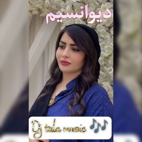 دانلود آهنگ ترکی دیجی طلا موزیک به نام دیوانسیم