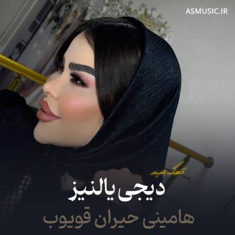 دانلود آهنگ ترکی دیجی یالنیز به نام هامینی حیران قویوب
