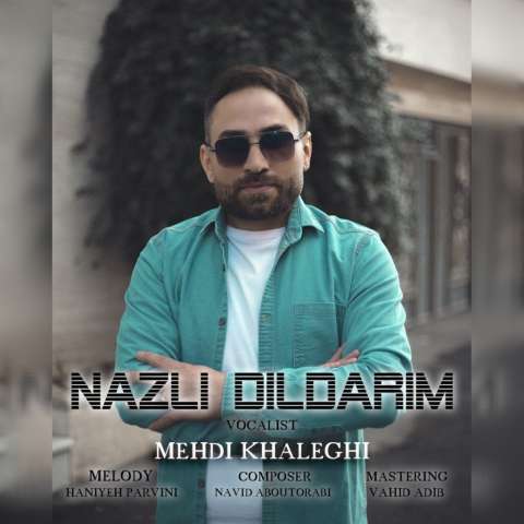 دانلود آهنگ ترکی مهدی اخلاقی به نام نازلی دلداریم