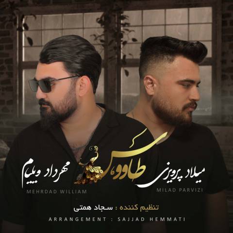 دانلود آهنگ ترکی میلاد پرویزی و مهرداد ویلیام به نام طاووس