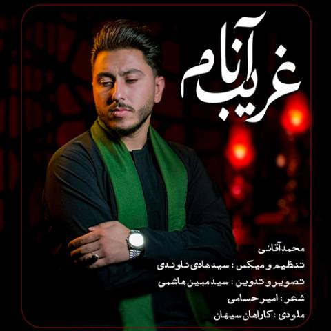 دانلود نوحه محمد آقائی به نام غریب آنام