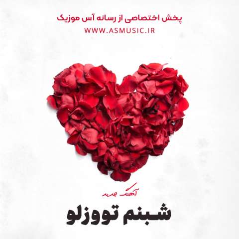 دانلود آهنگ ترکی شبنم تووزلو به نام نفرت