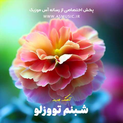 دانلود آهنگ ترکی شبنم تووزلو به نام سندن اوزاغلاردا