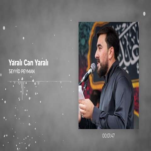 دانلود نوحه سید پیمان به نام یارالی جان یارالی