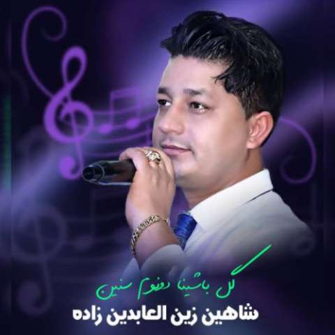 دانلود آهنگ ترکی شاهین زین العابدین زاده به نام گل باشینا دونوم سنین