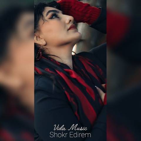 دانلود آهنگ ترکی ویدا به نام شکر ادیرم